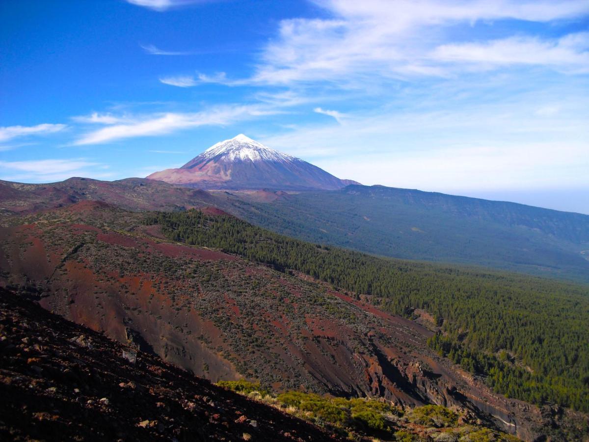Luis Estudio Adeje Tenerife Sur By Hrtenerife Net Costa Adeje  Εξωτερικό φωτογραφία
