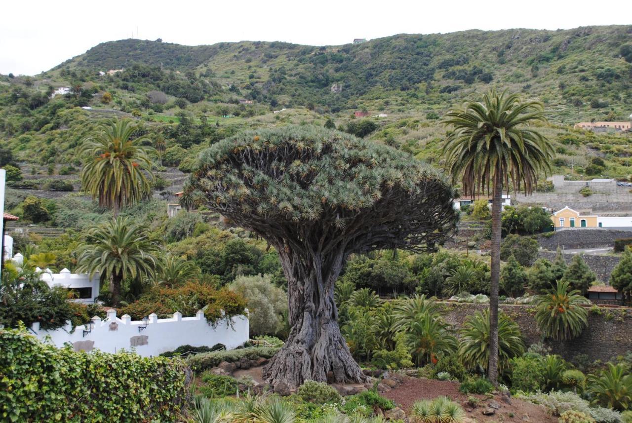 Luis Estudio Adeje Tenerife Sur By Hrtenerife Net Costa Adeje  Εξωτερικό φωτογραφία